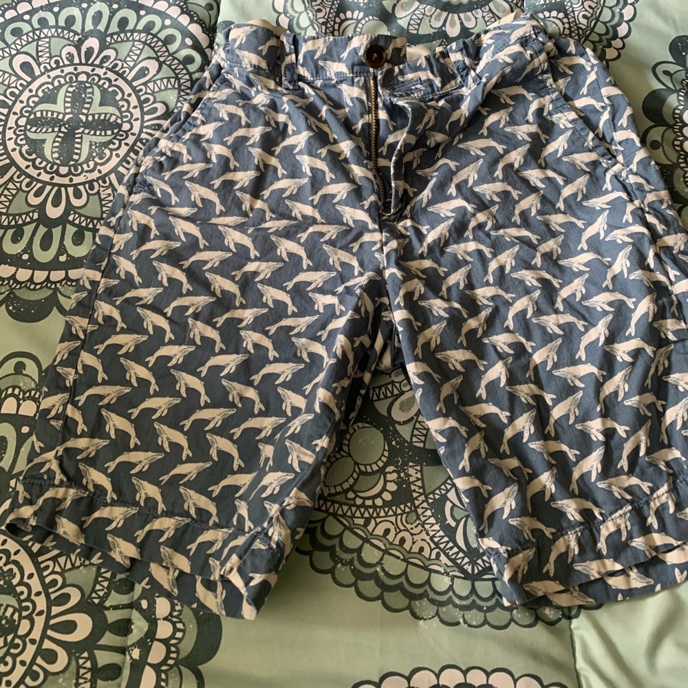 🆑4/$20 Crew Cuts brand boys shorts, size 12